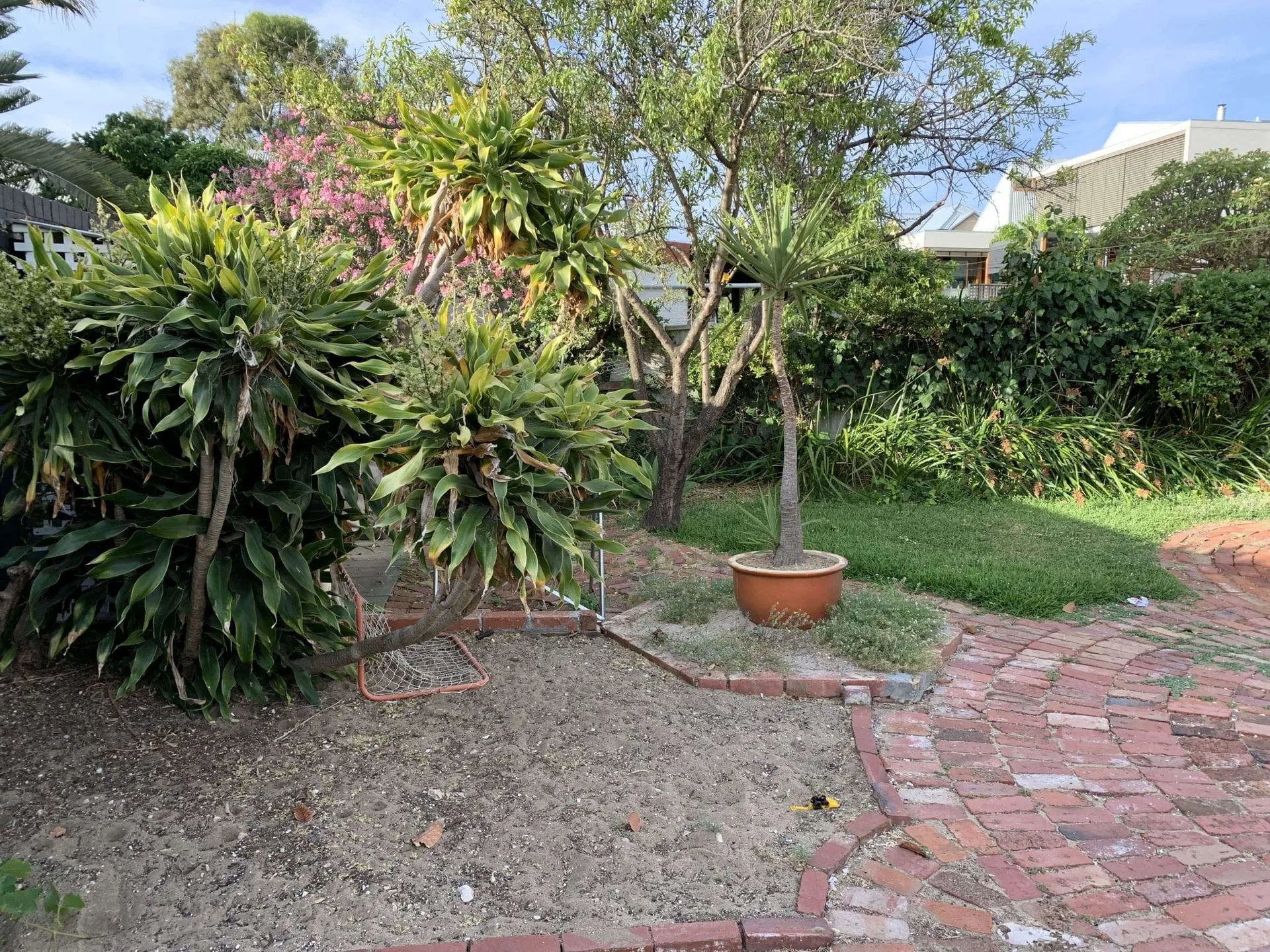 Grassed mound and garden beds in the redesigned Beaconsfield Perth family backyard.