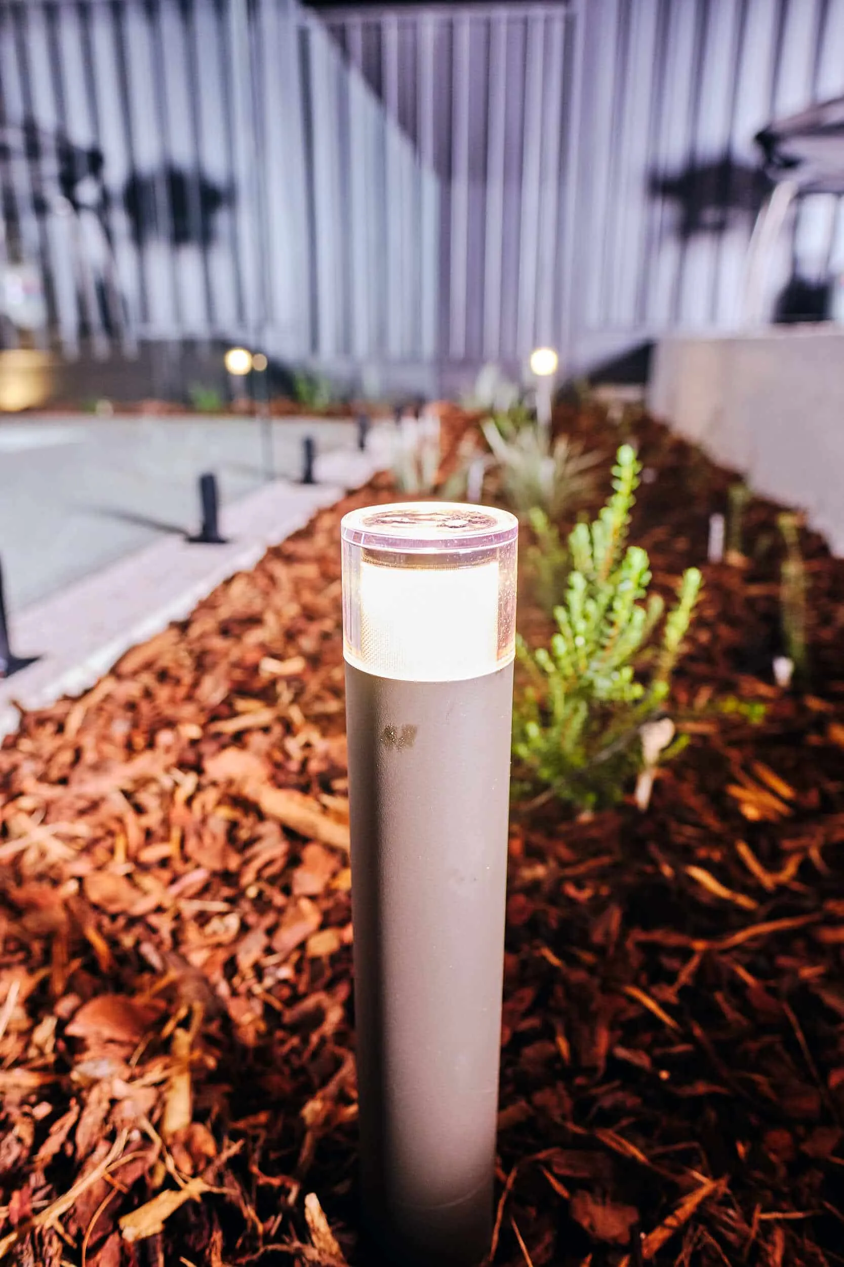 Close-up of garden lighting illuminating planting in the Beaconsfield Perth backyard at night.
