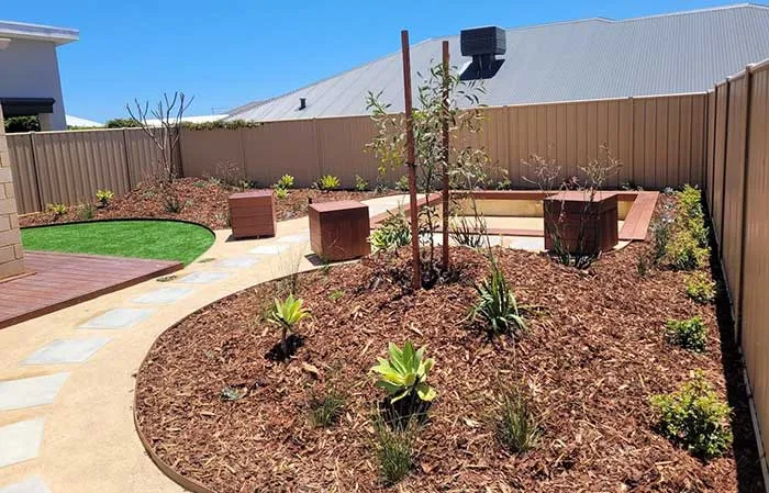 Completed Beeliar Perth landscape design and construction with corten edging and lush planting.