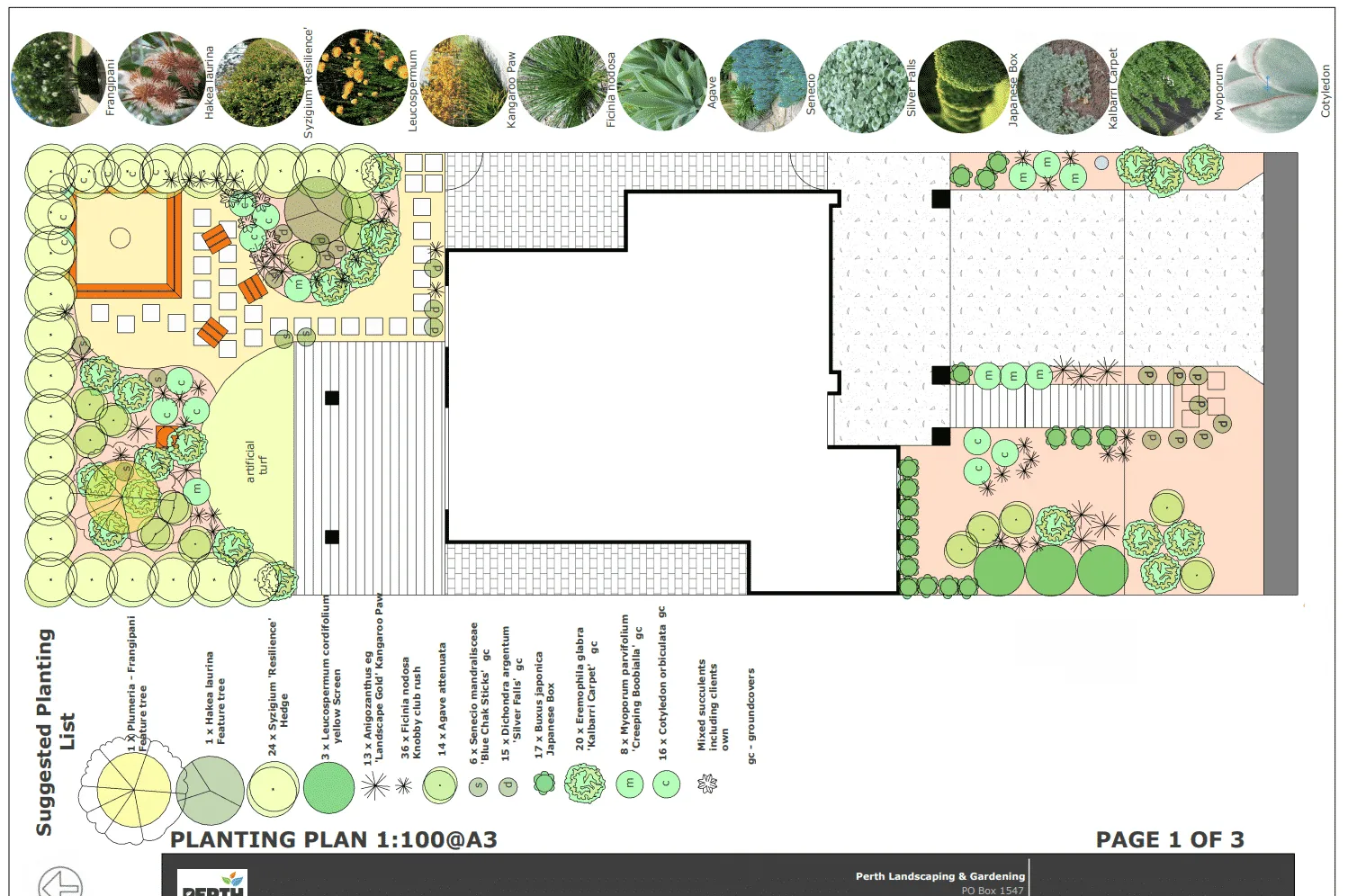 Planting plan for the Beeliar Perth landscape design showing species placement across the garden.