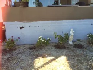 Sad Looking Backyard Garden Area Sad looking backyard garden area