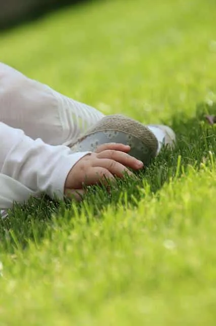 infant on green lawn grass