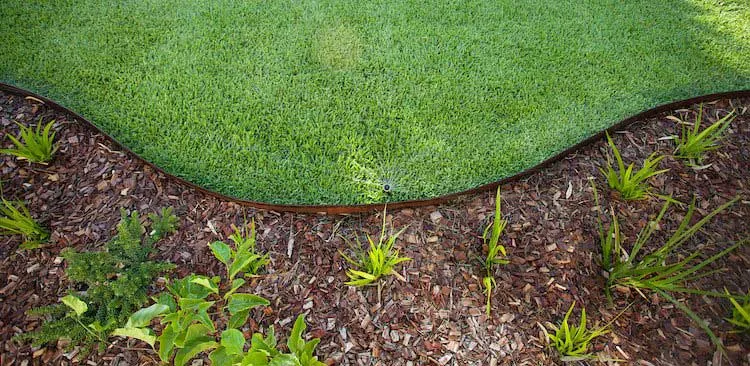Curved Lawn Borders Curved lawn borders with grass on one side and mulch the other