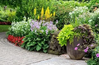 Custom landscaped garden with pergola, planting and outdoor seating