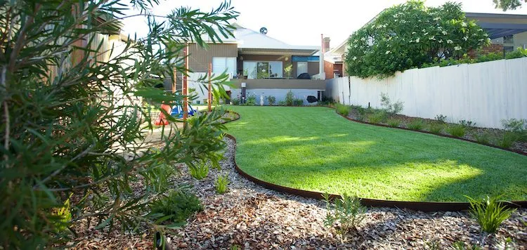 Designed Perth garden with structured planting showing the value of a landscape designer