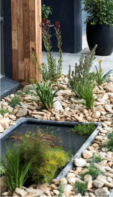 front garden design