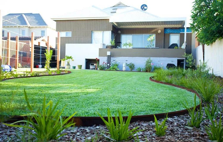 Beautiful green backyard with mulch borders Beautiful green backyard with central curved grass area surrounded by mulch