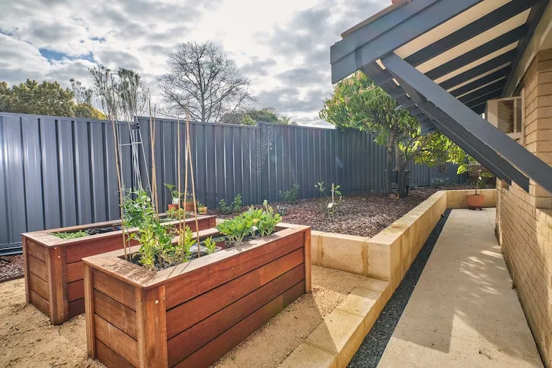 Custom raised wooden garden planter boxes built for the Leeming Perth easy-care vegetable garden.