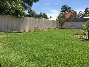 After Backyard Landscaping Improvements After backyard landscaping improvements
