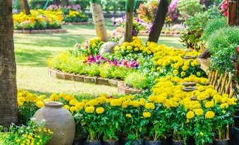 Landscaped outdoor garden design with mixed planting and lawn