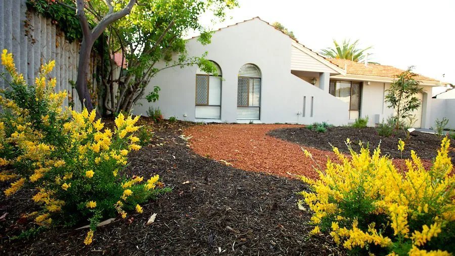 Quality timber garden shed installed in a Perth backyard