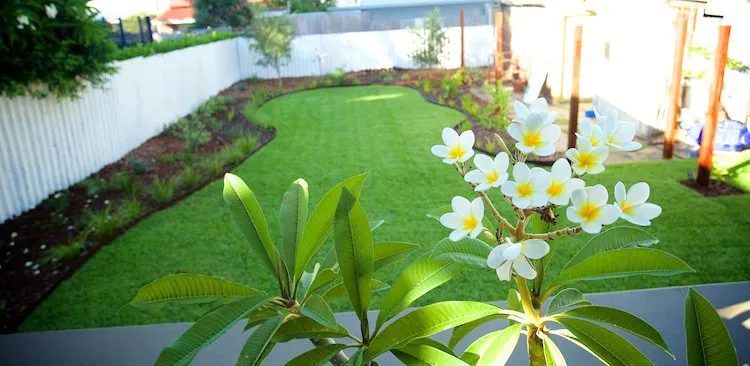 Beautifully finished Perth landscape project with garden beds and lawn