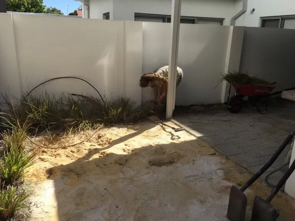 Work in progress during the South Perth courtyard landscaping, with new soil being wheeled in.