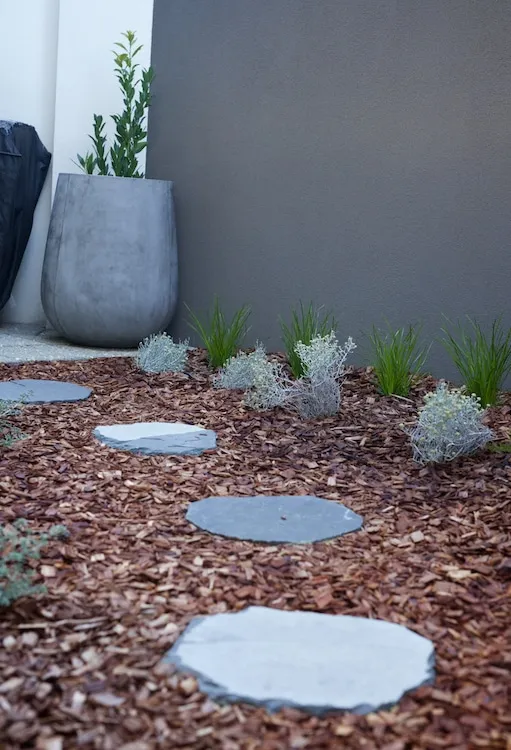 Finished low-maintenance courtyard garden in South Perth with native planting and feature wall.