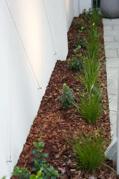 Mulched garden bed against the courtyard wall in the finished South Perth landscaping project.