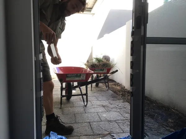 Site prep underway in the South Perth courtyard with old soil and plants being removed.
