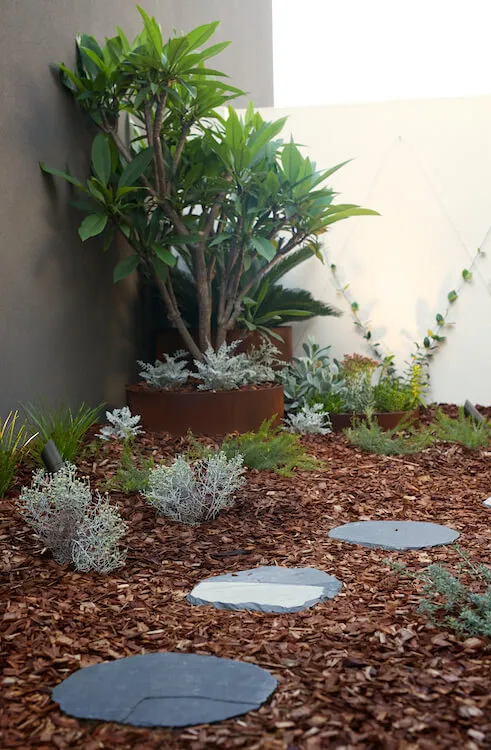South Perth garden with feature plants and modern paving
