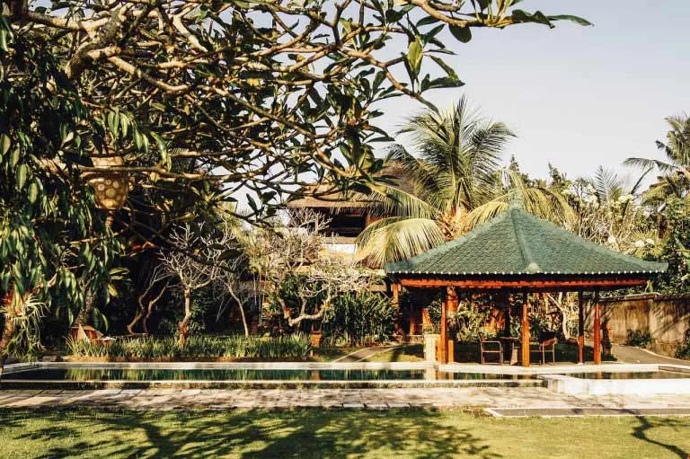 Lush tropical garden with palms, foliage and stone path