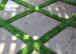Hardscape Landscaping Vrs Softscape Landscaping?
