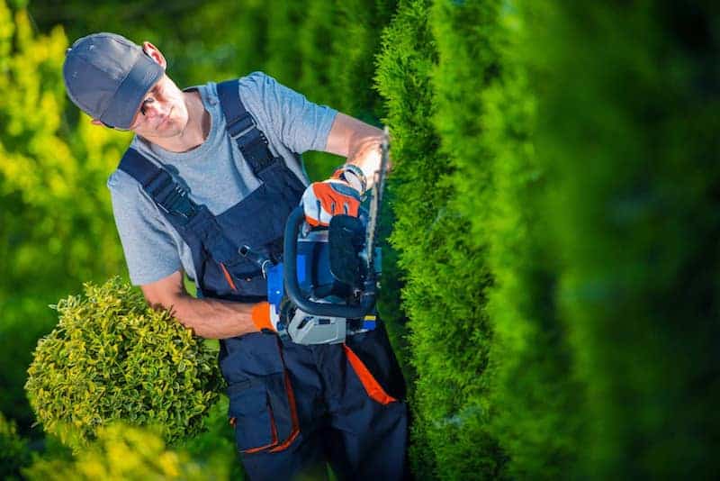 Questions to Ask Before Hiring a Lawn and Landscape Service