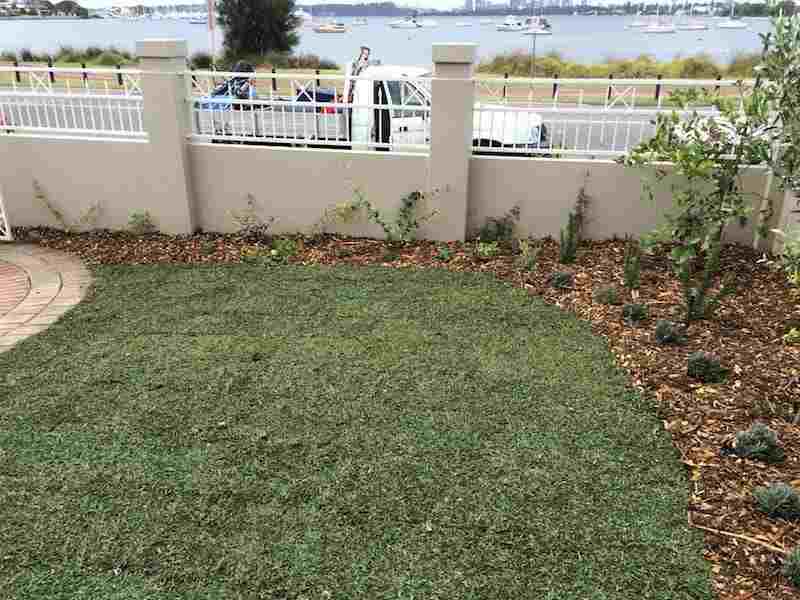 How to Choose the Best Lawn For Your Landscape Project in Perth
