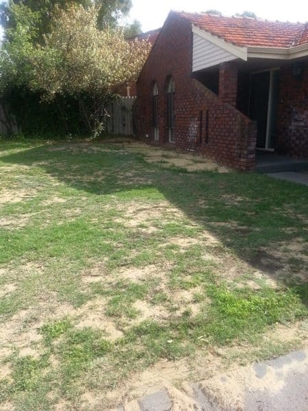 Before and After Lawn Perth