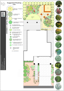 Plant Selection and Garden Design | Perth Landscaping Experts