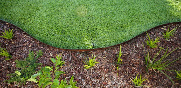 Curved lawn borders with grass on one side and mulch the other