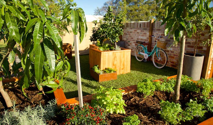 Small Garden Design Ideas Showcase