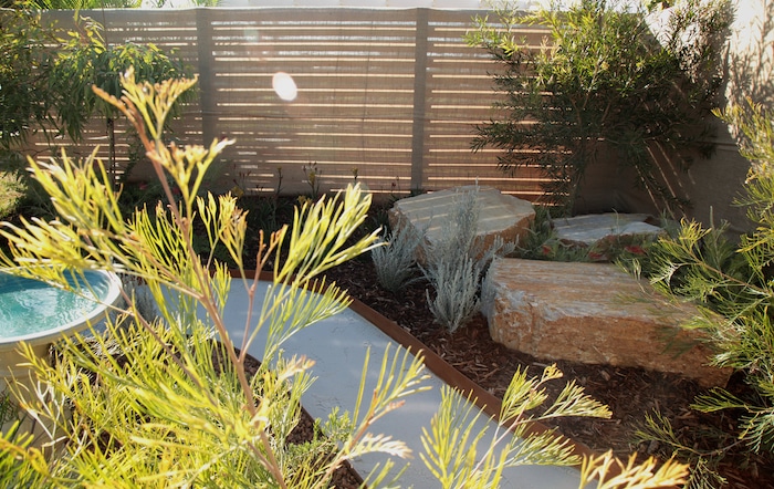native australian garden design